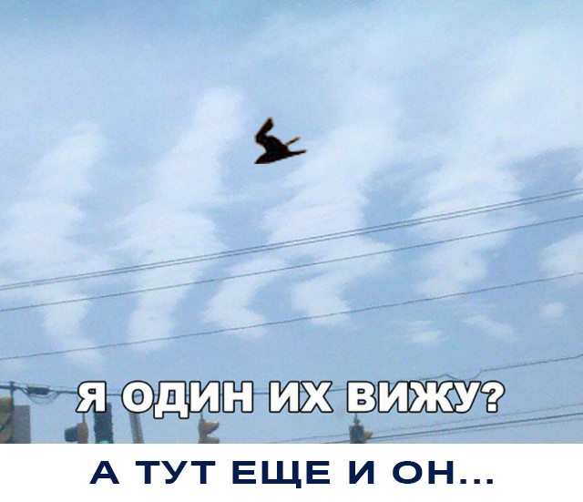 Нестандартный юмор