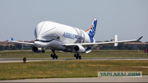 BelugaXL совершил первый полет