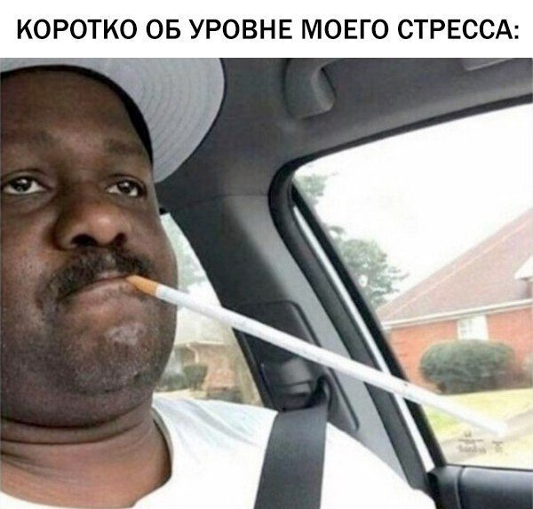 Лента прикольных картинок