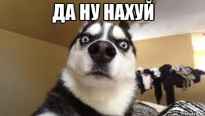 Вместо новогоднего корпоратива сотрудники мэрии Якутска проведут благотворительные акции