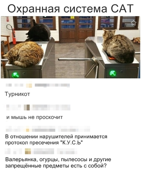 Забавные комментарии из социальных сетей 04.11.19