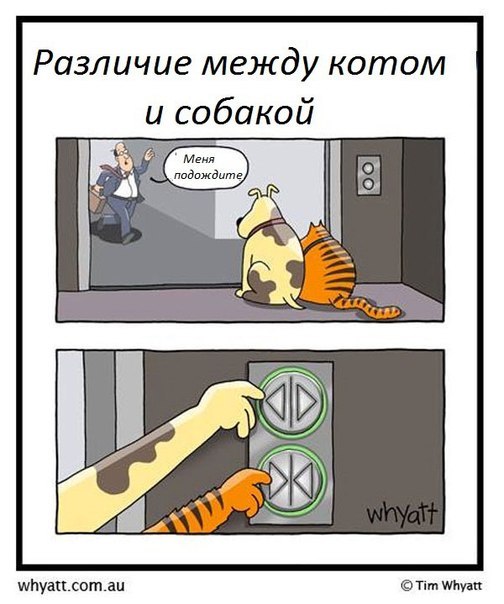 Древние мемы с ВК. Для тех кто забыл