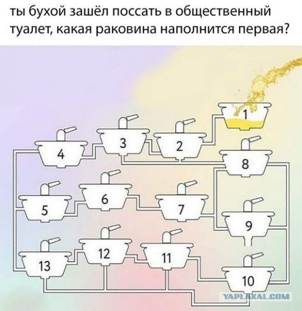 Чуток картинок 07.02.20.