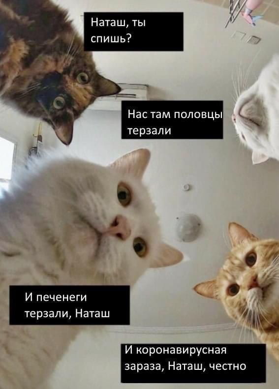 Бредзона 13.04.2020