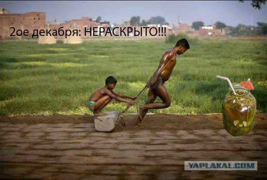 Фотожаба: Это не санки!