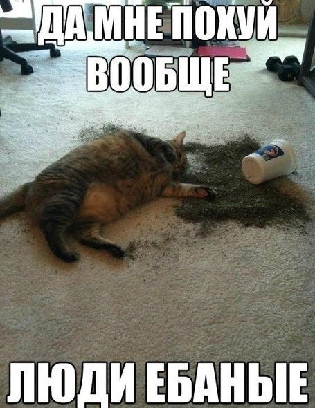 Периодическая система кото-элементов
