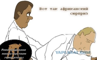 Экзотический сувенир