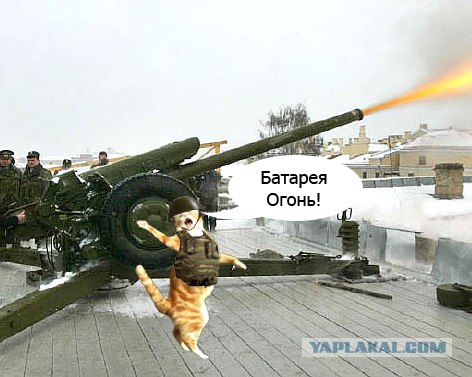 Кот поёт