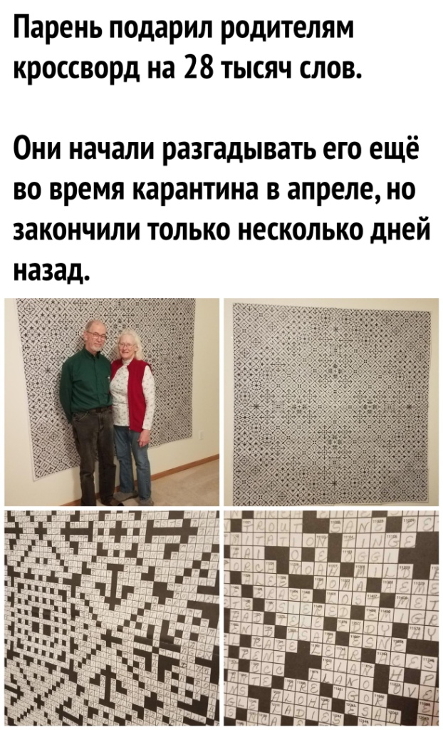 Кретинизмы из KV и KO 31.01.21