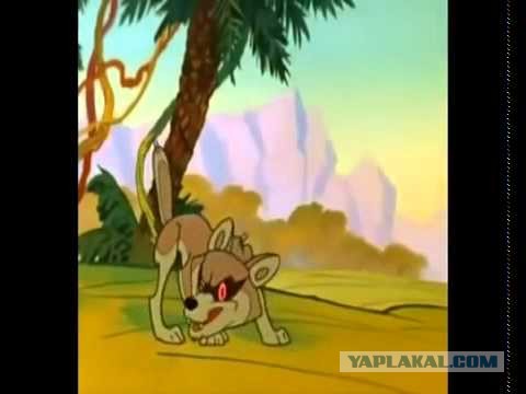 Я не Новальный, но вот вам моё расследование