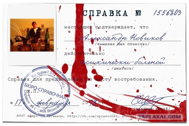 А из нашего окна...