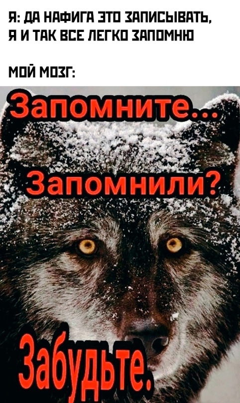 Весёлый полтишок 5.04