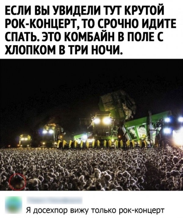 Прикольные и просто красивые картинки 29.06.2021