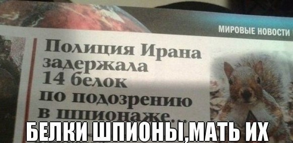 Алкобаяны на пятницу