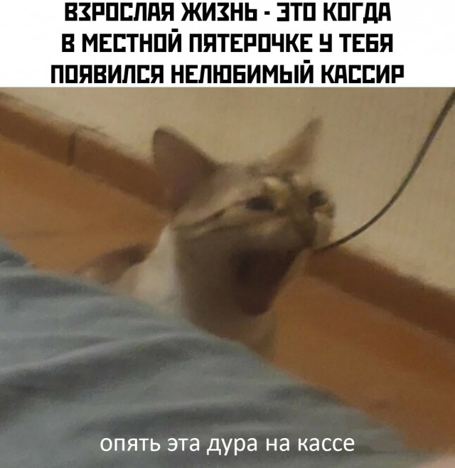Не на нас, а на вас