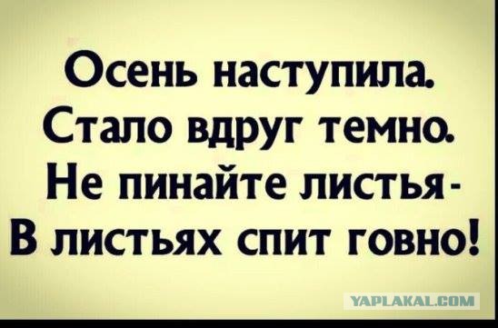 Бредзона 21.11.2021