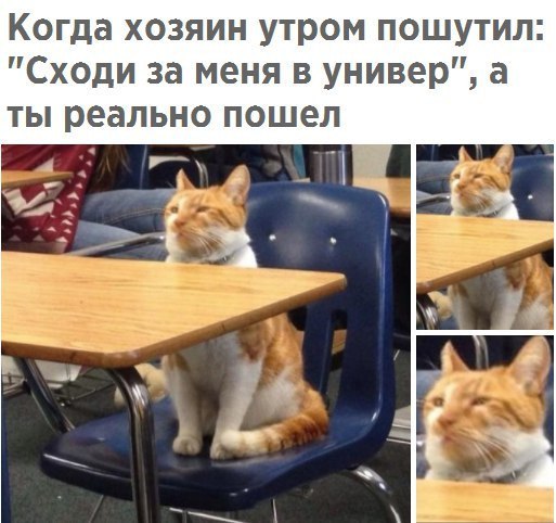 Чуток картинок 10.12.21