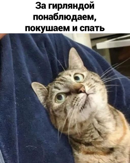 Картинки и буквы 15.07.22