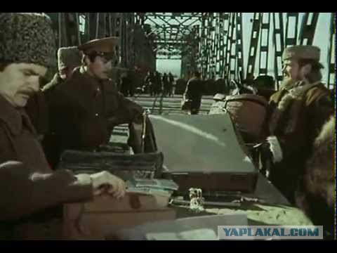 Во Внуково-3 впервые полный контроль за вещами пассажиров: вывезти наличные на бизнес-джетах теперь не получится