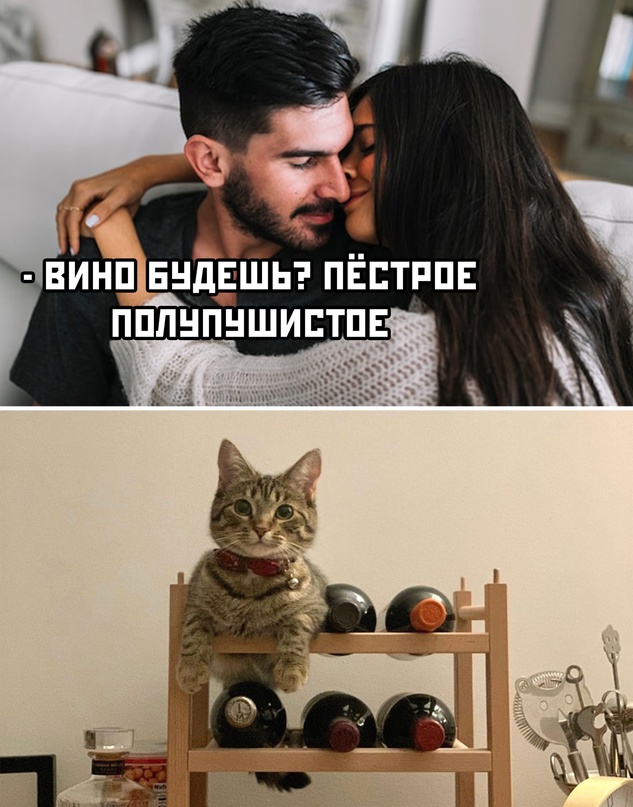Картинки и мемы для настроения - 21
