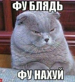 Некоторые спрашивали, зачем гуманитарные коридоры для террористов и наёмников из Азовстали, почему не разбомбить?