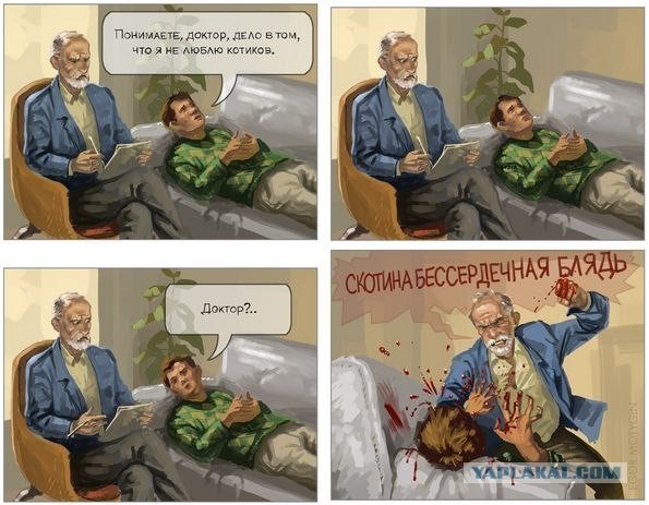 Мужику, столкнувшему кошку в море, грозит до 10 лет тюрьмы.