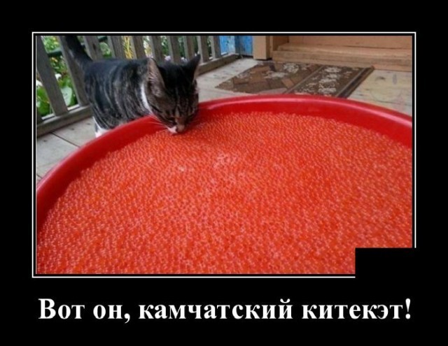 Картинки с надписями 27.06.22
