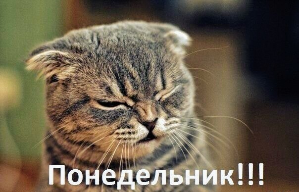 Немного картинок для настроения - 131
