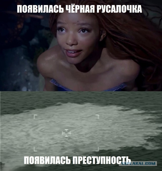 Польское ТВ о подрыве трубопроводов