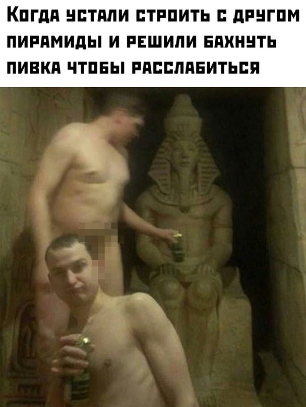 Весёлый полтишок 04.11.22