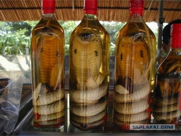 Социализм с человеческим лицом
