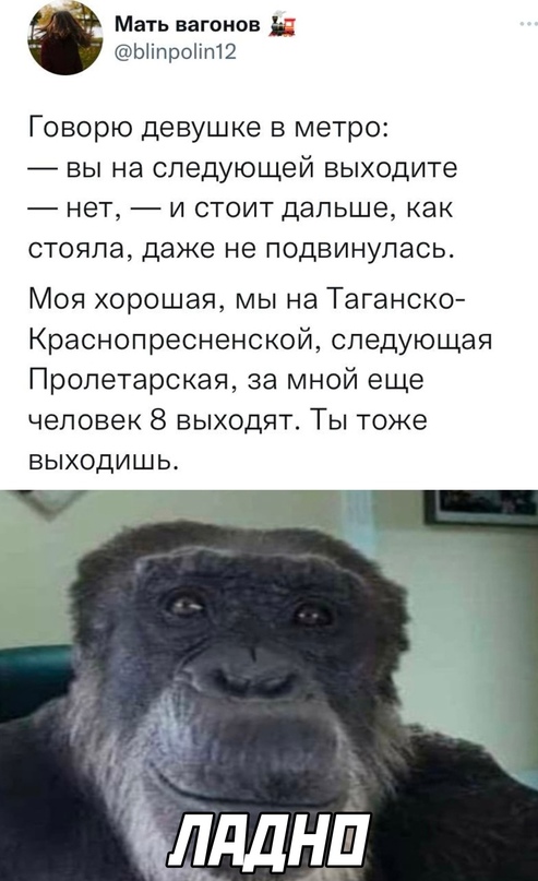 Весёлый полтишок 05.12.22