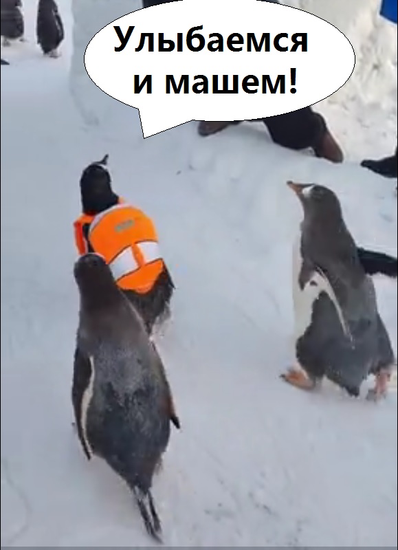Улыбаемся и машем