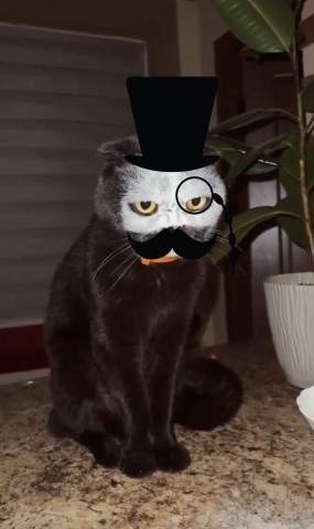 Клянусь, енто не я
