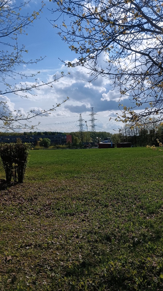 Жить ли с РСП?
