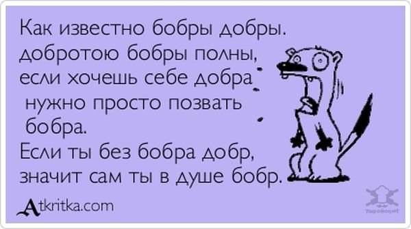 Попытка сфотографироваться с бобром