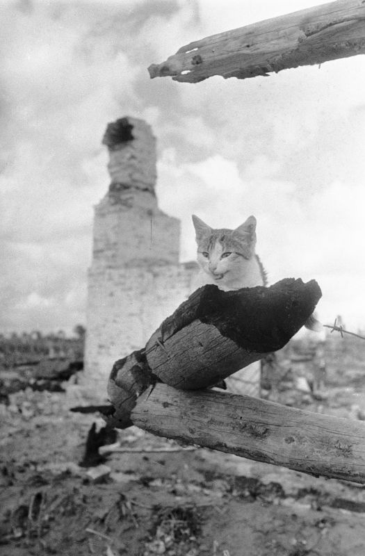 Фотографии из прошлого нашей страны - 27