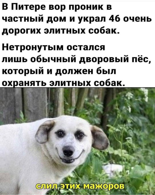 Забавные комментарии из социальных сетей (18.09.23)