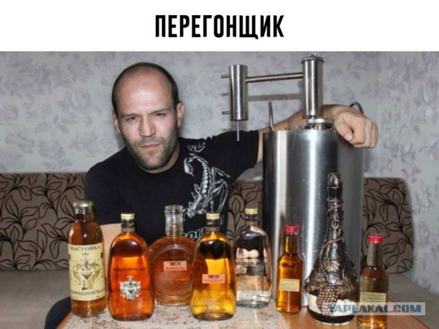 Вышел "Пчеловод" со Стейтемом и русские снова заполонили запретграм
