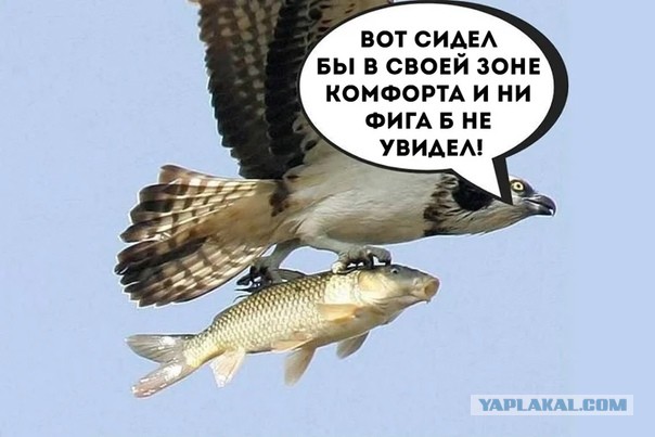 А девочек с каким весом потянет эта птица счастья?