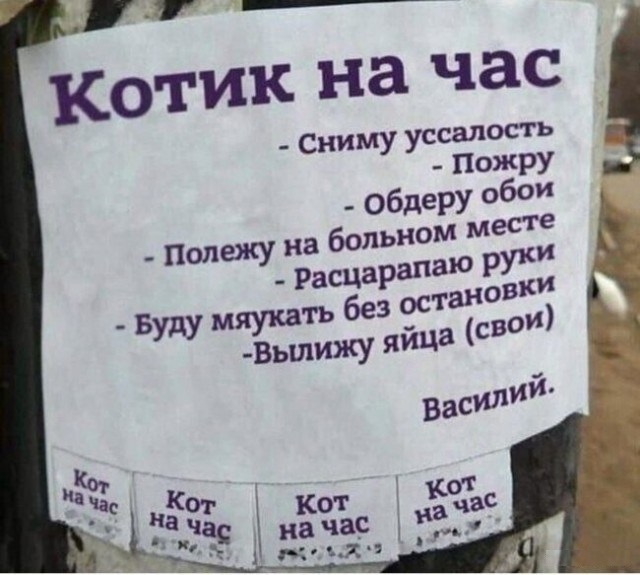 Тлидцать тли от 11 маЛта