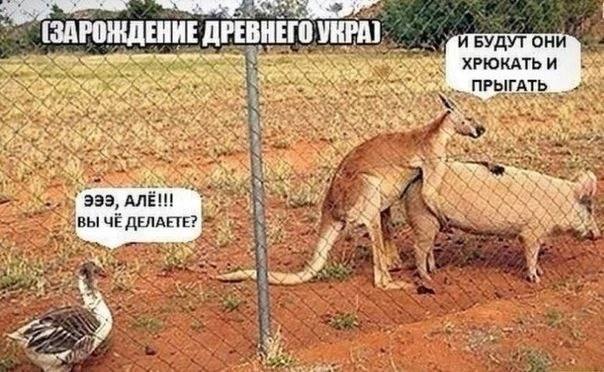 Вот поэтому умных все меньше?