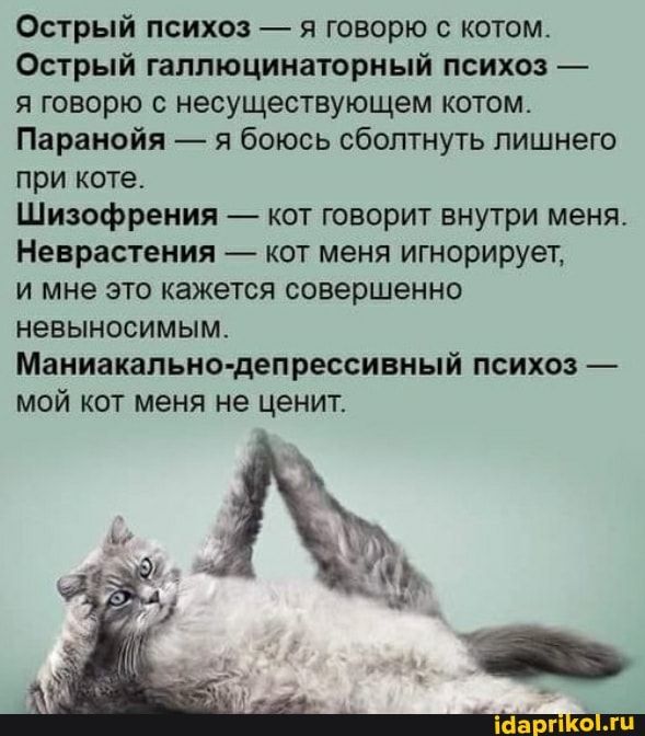 Забавные комментарии из социальных сетей (21.05.24)