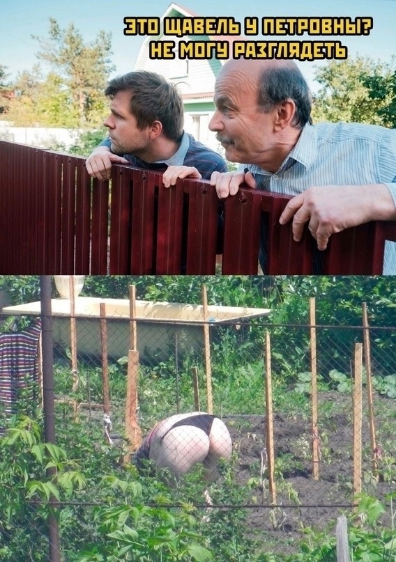 Так себе картинки 01.06.24