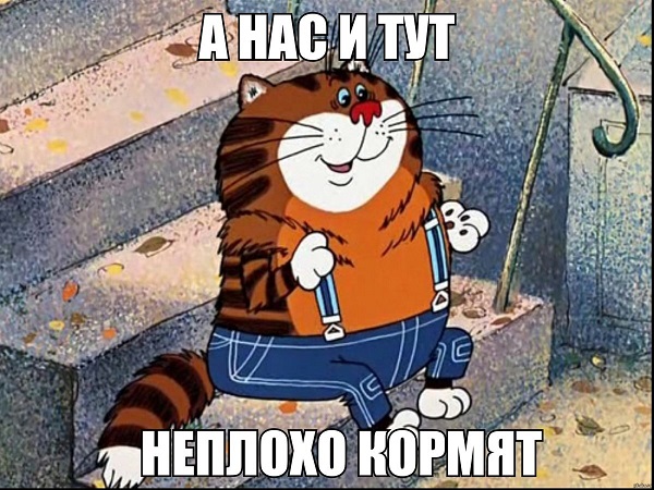 Эталон кота