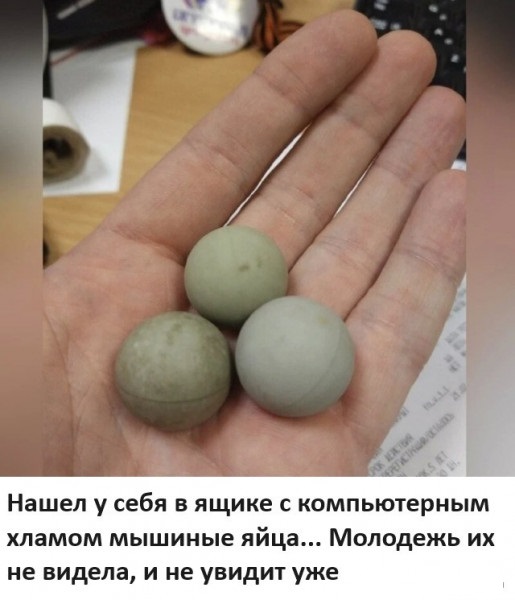 Веселые картинки к пятнице (09.08)