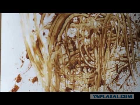 Никаких тайн, секретов и личного пространства