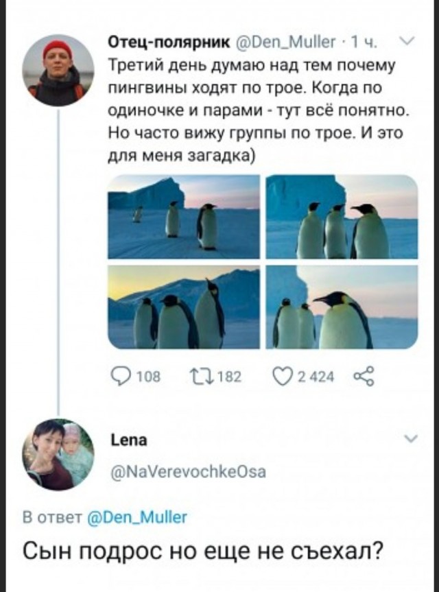 Завалялось тут случайно немного забавных картинок