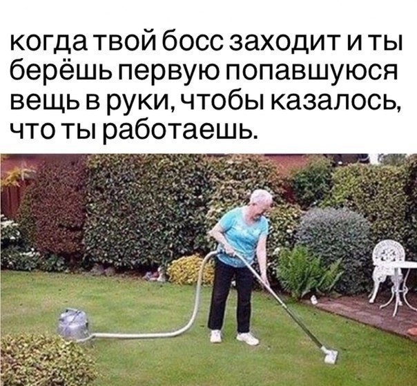Нуштош 13.12.2024