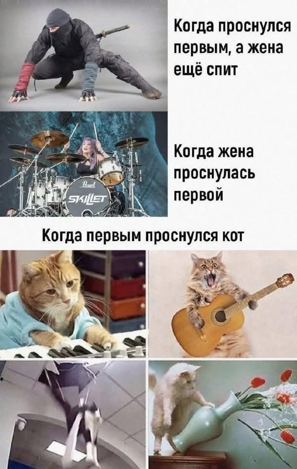 Так себе картинки 31.01.25